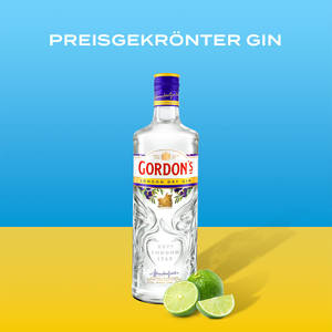 Gordon's 氈酒瓶搭配青檸角，置於藍黃背景上。