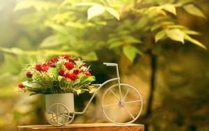 白色單車形花盆，裝滿紅色花朵，放在木質表面上。