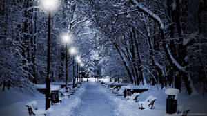 夜晚積雪的公園小徑，發光的街燈和積雪的長椅。