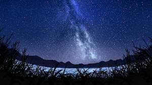 夜晚山湖上空的銀河系，帶有草剪影