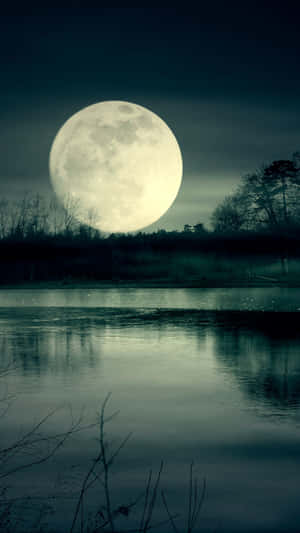 滿月映照在平靜的湖面上，夜晚被黑暗的樹木環繞。 — 月色夜空 壁紙