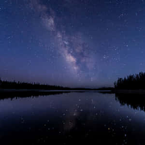 銀河系在繁星點點的夜空下倒映在平靜的湖面上，周圍有松樹。 — 星星 壁紙