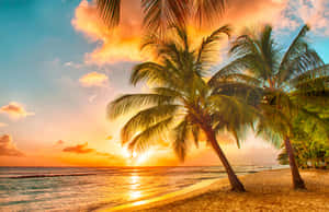 棕櫚樹在夕陽下搖曳，金色海浪拍打熱帶海灘。