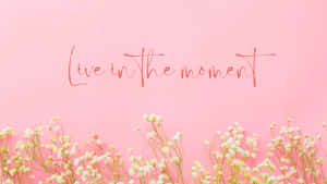粉紅色背景，白色滿天星花朵和手寫文字「live in the moment」。