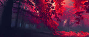 在迷霧暮色中，發光的紅葉下的森林小徑。