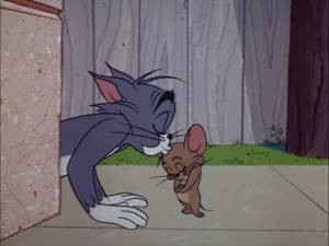 貓 Tom 和老鼠 Jerry 在戶外共享溫柔時刻。