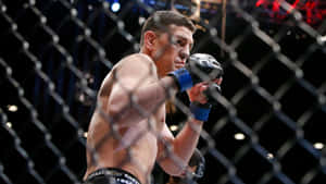 比賽期間，八角籠內戴著藍色手套的MMA拳手。