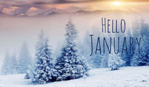 霧氣瀰漫的山谷日出時白雪覆蓋的松樹和hello january文字