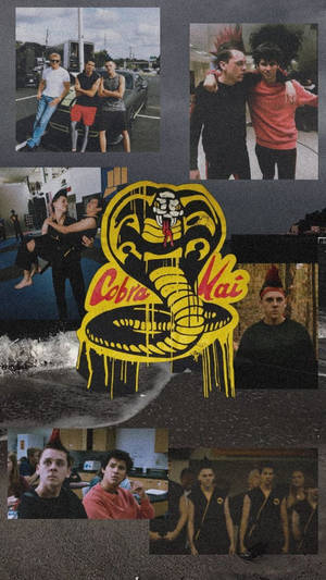 Cobra Kai 標誌滴落在莫霍克頭青少年和街頭場景的龐克搖滾拼貼畫上。