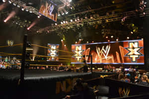 WWE NXT 摔角擂台，有粉絲和明亮的舞台燈光。 — 摔角 GIF 壁紙