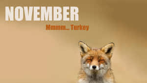 一隻微笑的狐狸閉著眼睛，文字寫著November Mmmm Turkey。
