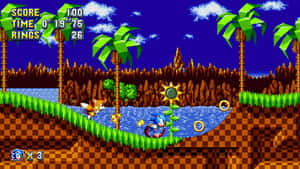 Sonic the Hedgehog 跑過一個有戒指同棕櫚樹嘅像素化熱帶河流舞台。