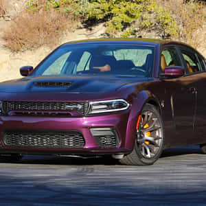 紫色Dodge Charger Hellcat喺有輪胎痕嘅瀝青路上，喺明亮嘅陽光下。
