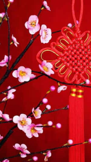粉紅色櫻花和紅色中國結裝飾在紅色背景上。 — 中國新年 壁紙