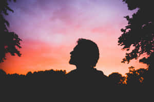 剪影中的男人在樹枝間仰望色彩繽紛的夕陽