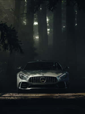 銀色 Mercedes-AMG GT 在霧氣籠罩的樹木下，停於森林木橋上。