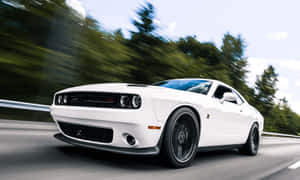 白色 Dodge Challenger 在陽光明媚的高速公路上飛馳，伴隨著模糊的綠色樹木。