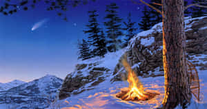 雪夜森林營火，星空與彗星 — 露營 壁紙