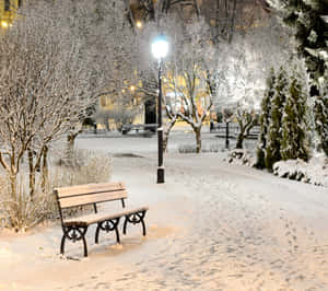 被雪覆蓋的公園長椅，夜晚在發光路燈下，有結霜樹木和腳印。