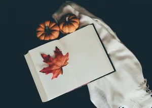 打開的書,白色布上有紅色楓葉和南瓜,深色背景
