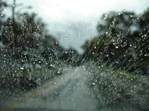 雨滴沿車窗流下，背景是模糊的樹木和道路。