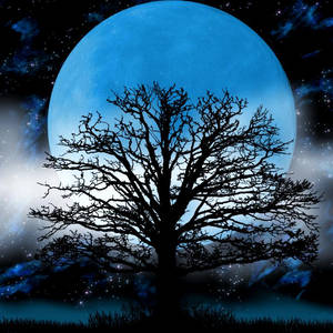 在繁星點點的夜空中，一棵光禿禿的樹在一輪巨大的藍色月亮下的剪影。