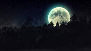 滿月在夜間森林後發光，上方有星星。