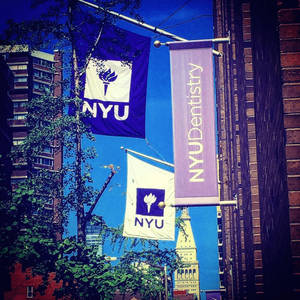 城市街道上掛有 NYU 和 NYU Dentistry 橫幅，旁邊有磚砌建築和綠樹。
