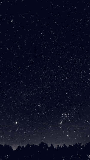 漆黑的森林剪影上方的星空夜空 — 月色夜空 壁紙
