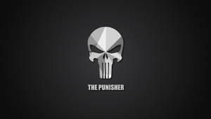 深灰色背景上的銀色 Punisher 骷髏標誌，帶白色文字。