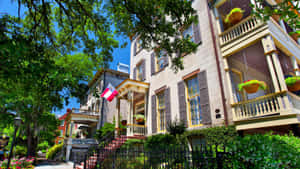 歷史南方風格住宅，帶門廊和花籃，位於明亮的綠樹下。
