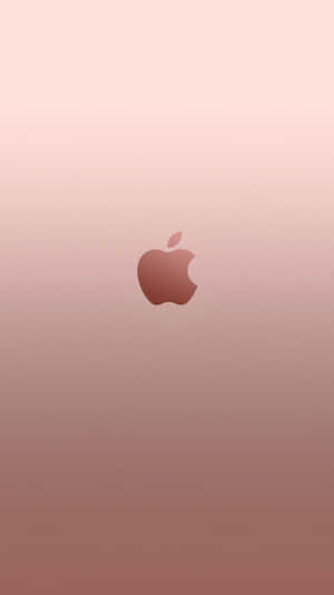 玫瑰金色Apple標誌在柔和漸變背景上。