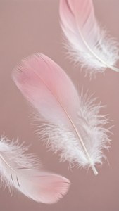輕柔飄浮的淺粉與白色漸變羽毛。 — 淺粉紅色美學動圖 壁紙