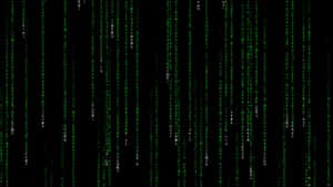 綠色數碼代碼像 Matrix 電影一樣在黑色屏幕上落下。