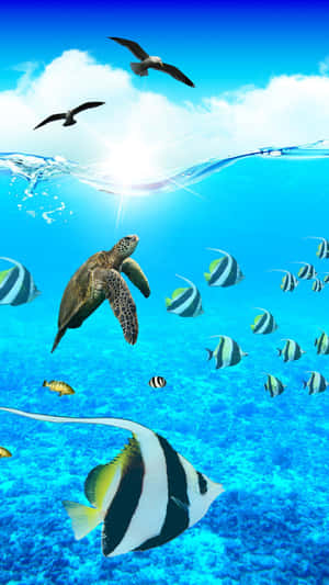 海龜和熱帶魚在水下游泳，海鷗在陽光照射的海面上飛翔。