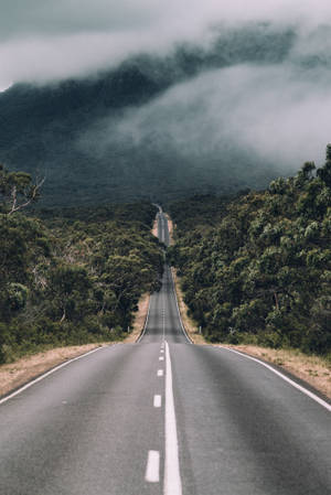 蜿蜒道路穿過森林通往多雲天空下的霧山