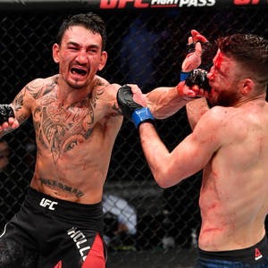 兩名拳手在血腥的MMA鐵籠賽中互相出拳。