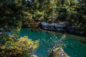 一條藍綠色河流流過森林，有秋葉和岩石河岸。 — 日式波浪 壁紙