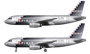 兩架採用像素化灰色塗裝的精神航空飛機從側面觀看。