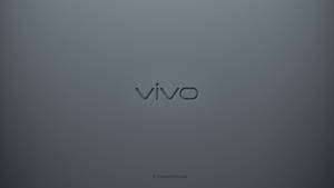 深灰色紋理背景上的 Vivo 品牌標誌