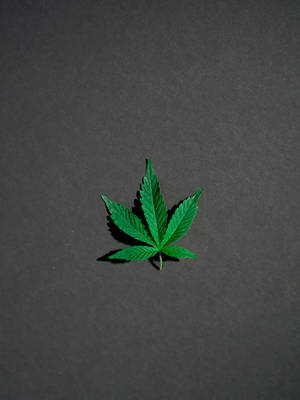 深灰色背景上的一片綠色大麻葉。