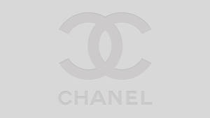 灰色 Chanel 標誌在淺灰色背景上。 — Jordan 標誌 GIF 壁紙
