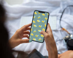 在床上拿著有檸檬壁紙手機的人 — iPhone 粉紅美學 壁紙