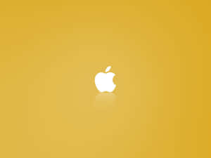 白色Apple標誌在金色背景上帶倒影