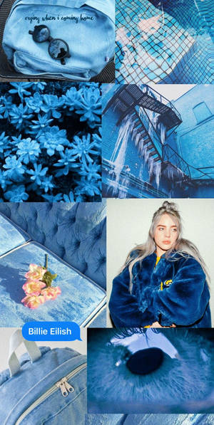 以藍色調為主的拼貼畫， featuring Billie Eilish、多肉植物、背包和眼睛特寫。