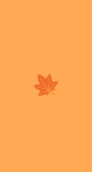 一片橙色楓葉在純色橙色背景上。 — 簡約風格 壁紙