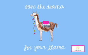 一隻裝飾有流蘇和粉紅色鞍座的羊駝，上面寫著 save the drama for your llama。 — 動物 壁紙