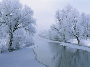 結冰的河流蜿蜒穿過白雪覆蓋的森林，樹木覆蓋著霜凍