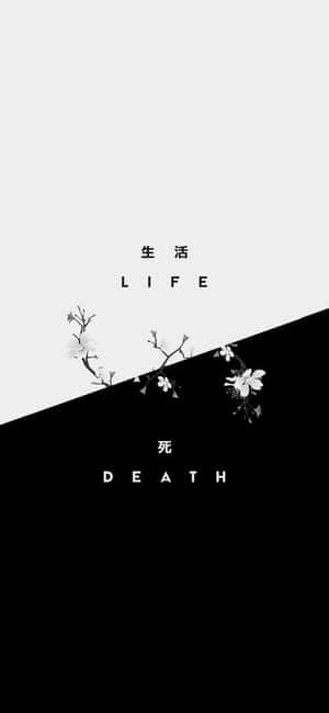 以櫻花象徵生與死的黑白分割畫面。