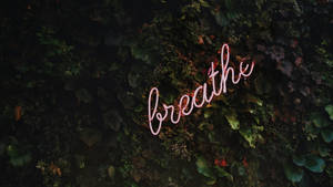 粉紅色霓虹燈牌，上面寫著 breathe，背景是深色樹葉牆。